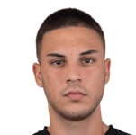 Д. Станоевич  