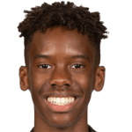 Харви Араужу  