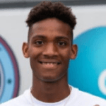 К. Макфарлейн  