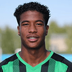 Р. Фламинго