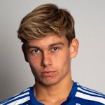 Л. Юберг-Ховланд