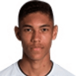 Винисиус Бальейро  