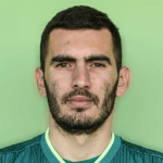 В. Павлович  