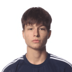 Э. Байрактарович