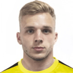 Н. Яворский  