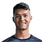 Д. Пераич-Каллен