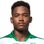 Жені Катамо  