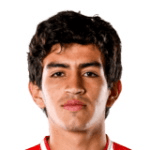 Н. Палавесіно