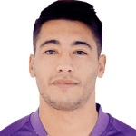 Н. Гонсалес