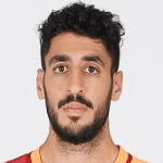 Т. Джигерджи