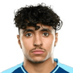 З. Фернандес  