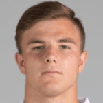 Л. Нуссбаумер  