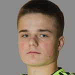 К. Янковский  