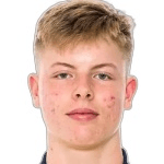 Н. Зеттерстрём  