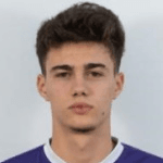 Н. Митулькич  