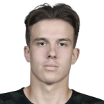 Н. Плотников