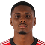 Эверттон Араужо