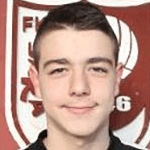 М. Шахинович  