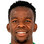 В. Маґалане