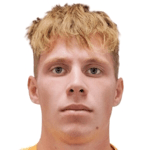 М. Нетоліцькі  