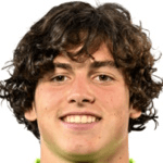 А. Доббельс