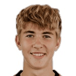 Д. Пестряков