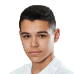 Л. Стоянович  