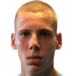 С. Подгоряну  