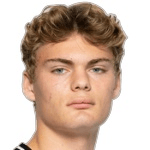 Б. Хавигхорст  