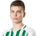 Н. Станкявичюс  