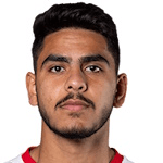 Махмуд Аль-Асвад