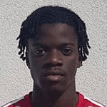 К. Жануарио