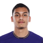 Н. Мехссату