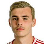 Д. Павлович  