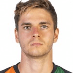 А. Фьордалицо