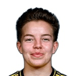 И. Гольдманн  