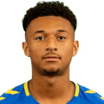 Д. Аджей-Херси