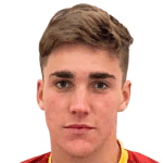 В. Агостинелли  