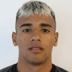 Л. Родригес