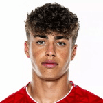 Н. Скардино