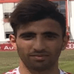 Л. Бен Хассін