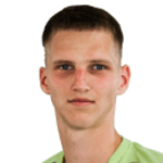 Д. Тананеев  