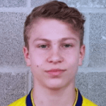 Хенрик Болин