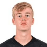 Д. Кристьянссон  