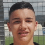 А. Сельвини