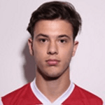 В. Живойинович