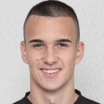 Л. Цветичанин  