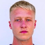 Н. Кааймолен