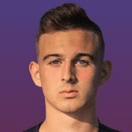 К. Козловски