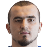 Ф. Салчинович